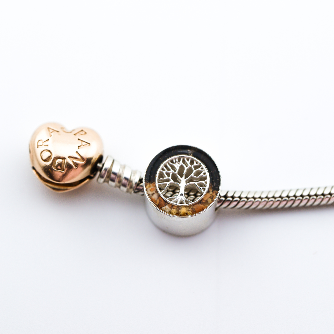 Charm para Pandora Plata 925