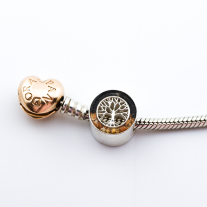 Charm para Pandora Plata 925