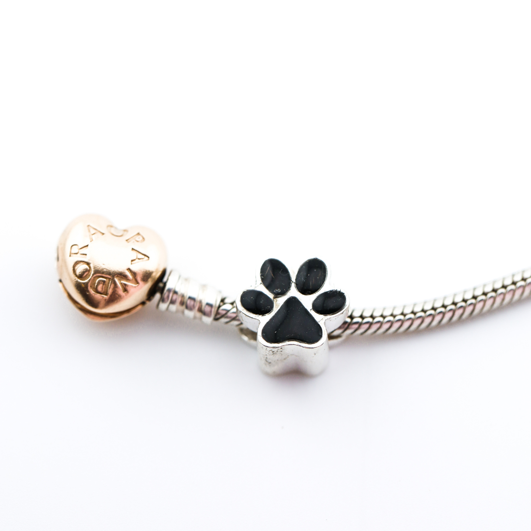 Charm para Pandora Plata 925