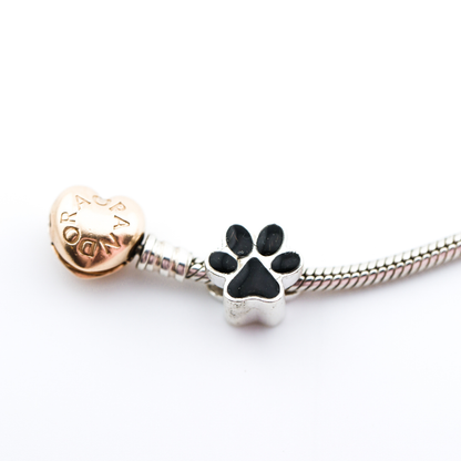 Charm para Pandora Plata 925