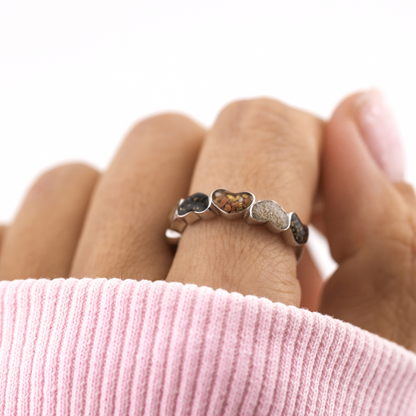 Anillo "Seis recuerdos" Plata 925