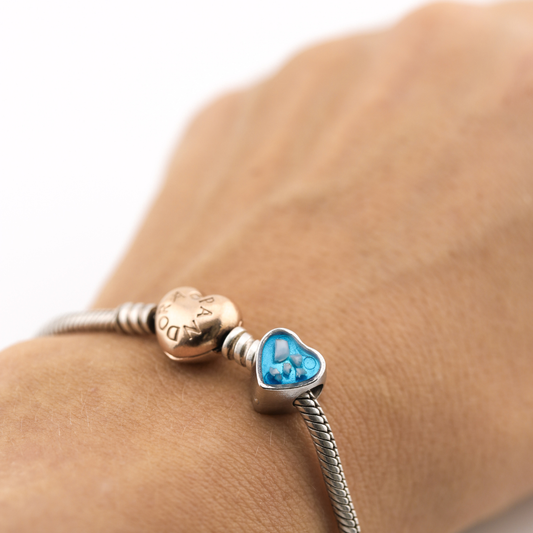 Charm para Pandora acero inoxidable