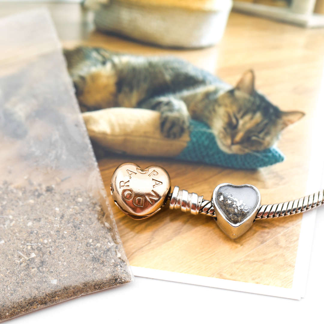Charm para Pandora acero inoxidable